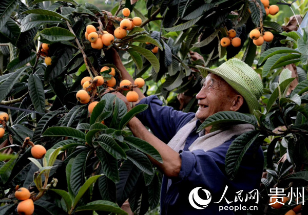贵州：牢记嘱托走后发赶超之路 立足“黄金十年”再创新辉煌