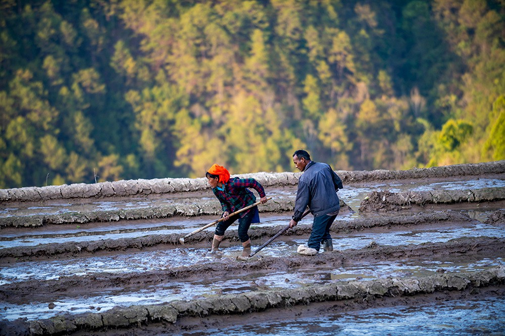2月4日，两位农民在红河县三村乡南哈上寨梯田劳作。