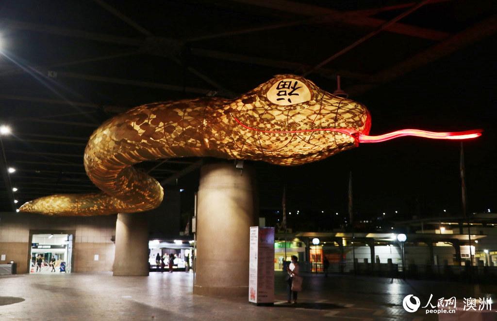 位于悉尼环形码头的蛇型花灯 （摄影 何佳静）