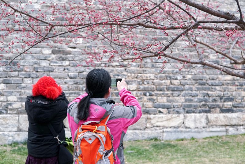 近日，明城墙遗址公园内，市民朋友驻足拍照。人民网 刘微摄