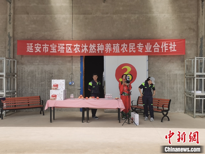 来源：柳林镇果技园供图。