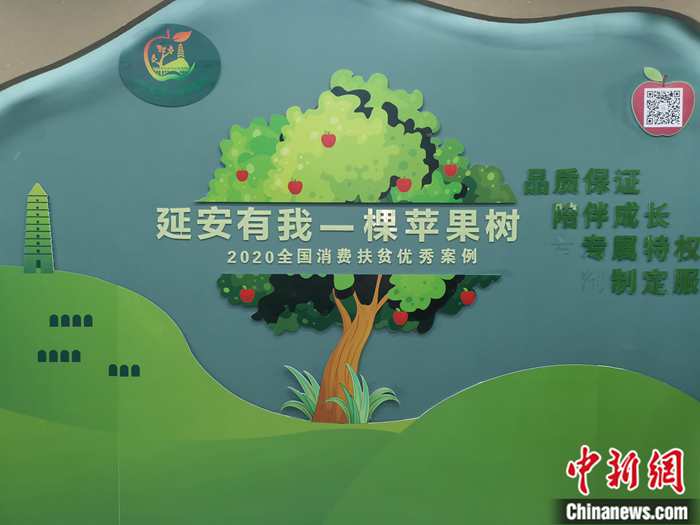 "“延安有我一棵苹果树”。<a