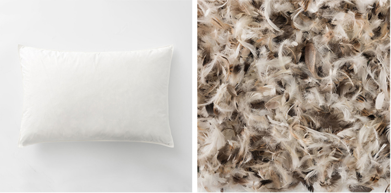 WX20210320-005658@2x