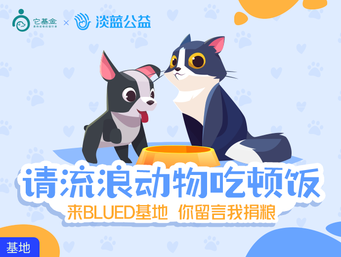 淡蓝公益携手它基金开启“流浪动物守护计划”