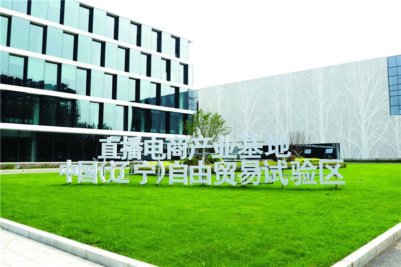 沈阳自贸片区“种苗圃”践行创新试验使命