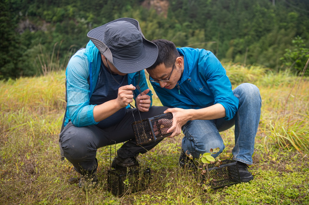 5月12日，南京环境科学研究所研究员雍凡（左）与参与此次调查的助理刘煜坤观察诱捕笼内的动物活动痕迹。