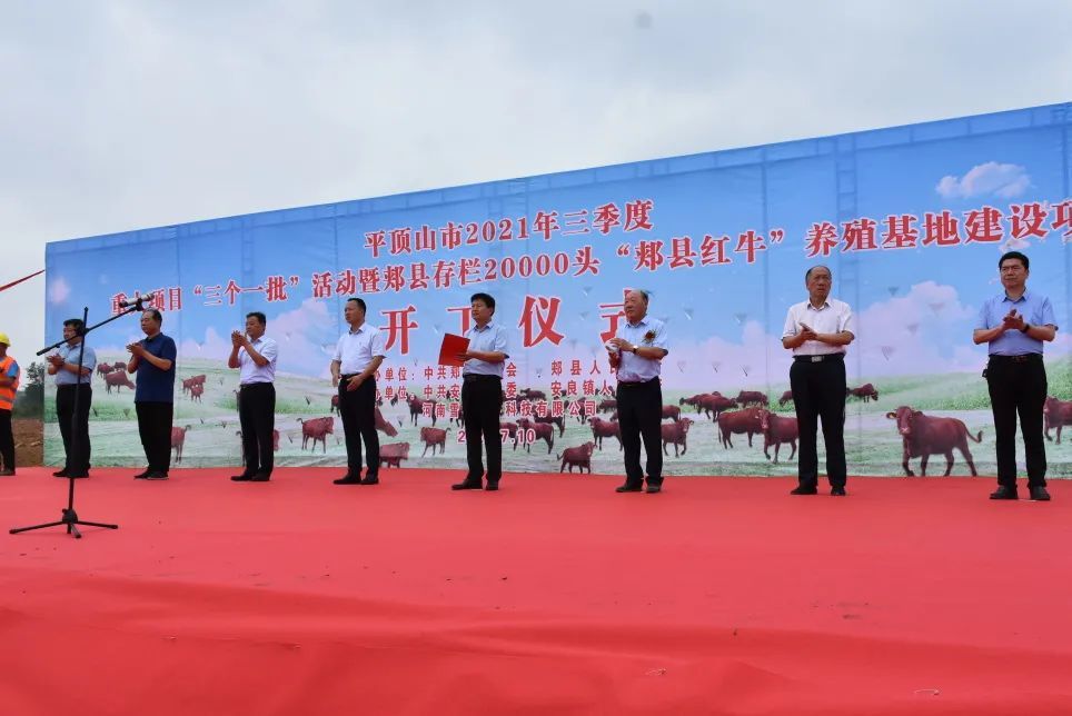 金星集团郏县红牛养殖基地建设项目正式开工！