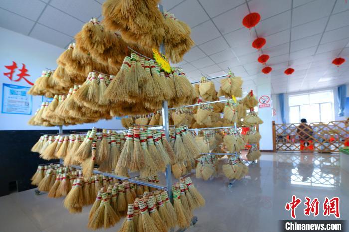 内蒙古巴林左旗：小小笤帚苗“扫”出脱贫致富新气象