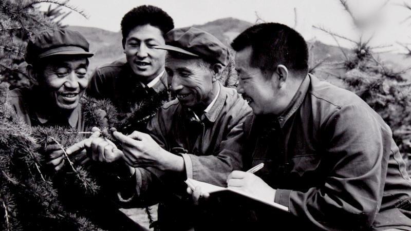 时政微视频丨瞰塞罕坝
