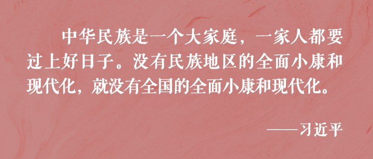 总书记倾心浇灌民族团结进步之花