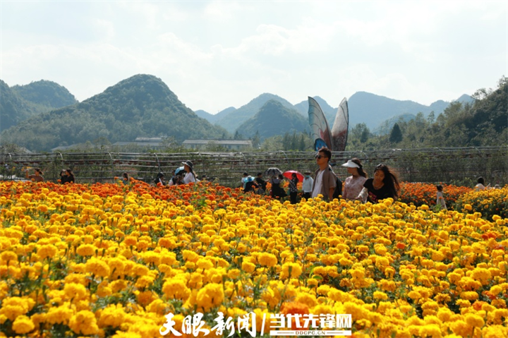 8毕节市百里杜鹃景区。汪瑞梁 摄.png