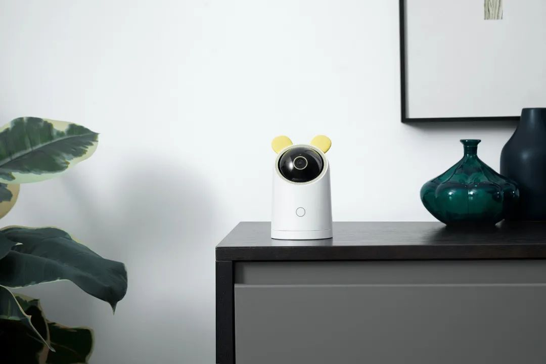 海雀科技荣获hdc2021全场景智慧生活卓越合作伙伴大奖