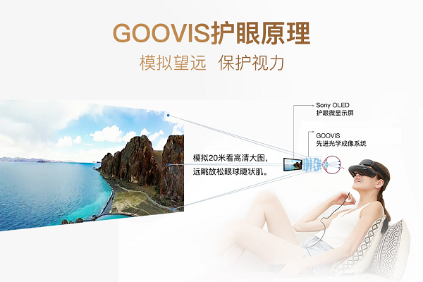 GOOVIS.png