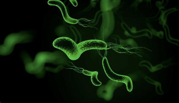 澳上市公司EZZ开创幽门螺旋杆菌基因疗法 基因检测+差别治疗开创抗幽新纪元