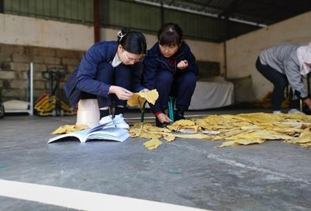 匠心展芳华 身传沐春风——记云南烟草技术能手陈佳