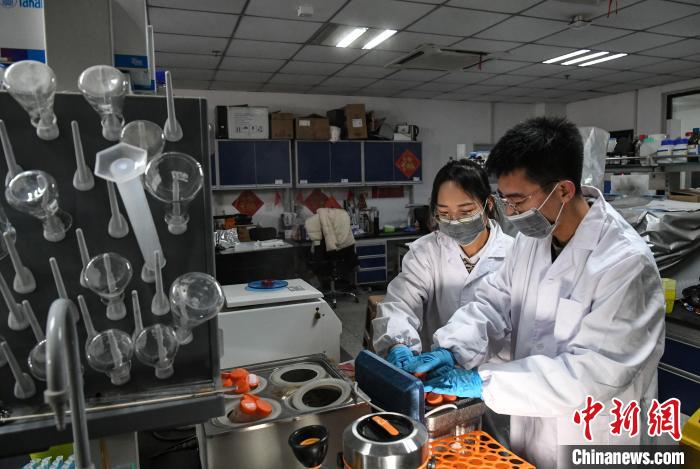 杨一帆和同学在实验室进行低嘌呤大豆种质资源筛选实验。　韩苏原 　摄