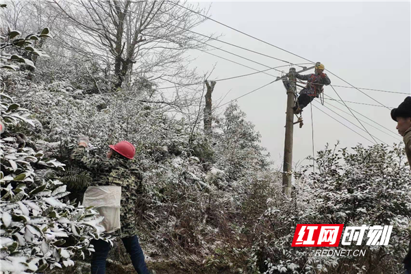 桂东县桥头乡供电所踏雪巡线守护群众光与暖