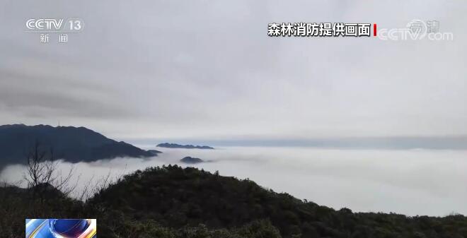 广西大明山国家级自然保护区加强林区巡护 守护黑叶猴栖息家园