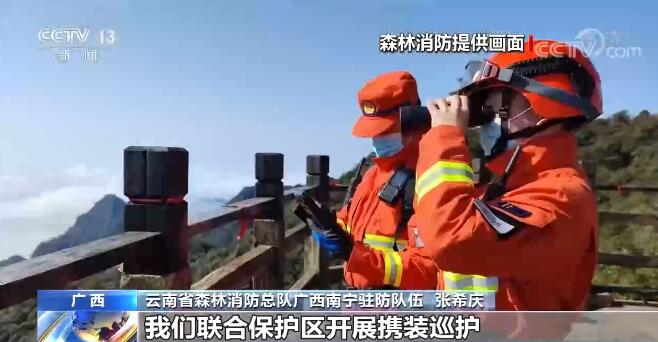 广西大明山国家级自然保护区加强林区巡护 守护黑叶猴栖息家园
