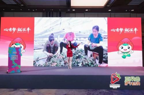 设施栽培面积达21万亩，长丰草莓香溢四海