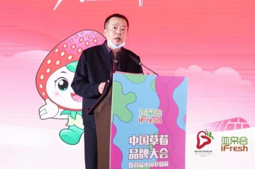 设施栽培面积达21万亩，长丰草莓香溢四海