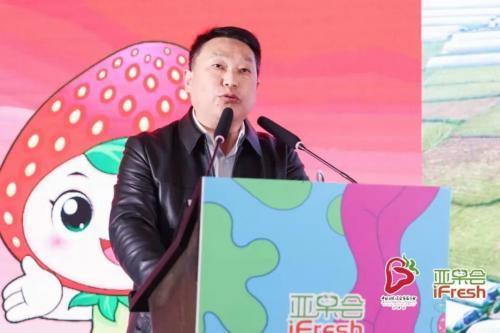 设施栽培面积达21万亩，长丰草莓香溢四海