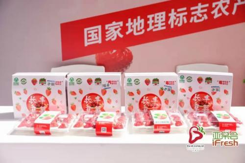 设施栽培面积达21万亩，长丰草莓香溢四海