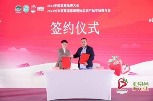 设施栽培面积达21万亩，长丰草莓香溢四海
