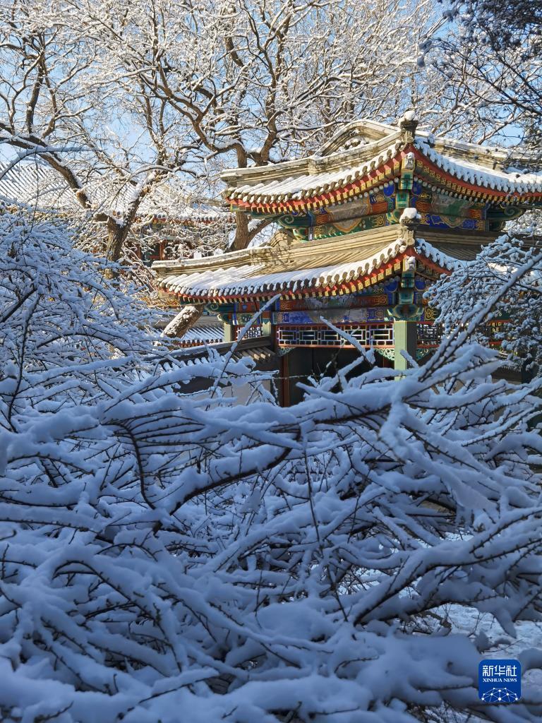 北京三月下雪图片