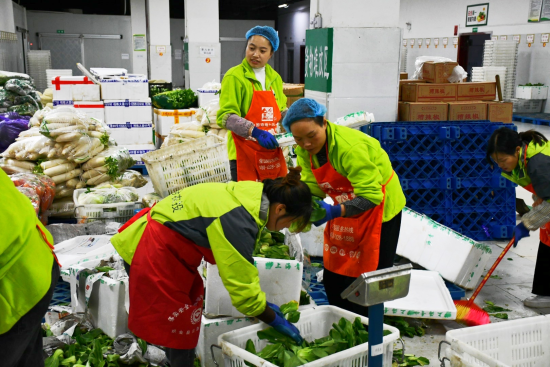 图:营养餐配送工人正在分拣蔬菜