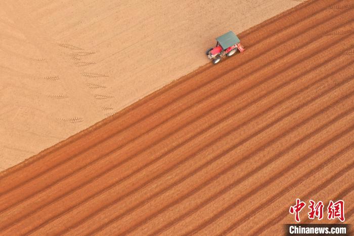 4月10日，在江西省吉安市泰和县塘洲镇洲头村，农民驾驶农机正在翻耕整地，准备种植蔬菜。　邓和平 摄