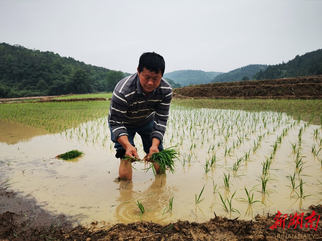耕地是粮食生产的命根子，是中华民族永续发展的根基