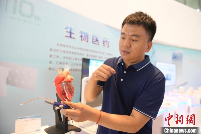 5月19日，工作人员在展示最小的“人工心脏”。　张娅子 摄
