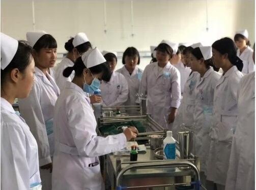 关注职业教育发展新航向 助力乡村振兴