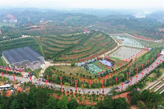 衡东县举办2022年“中国旅游日”系列主题活动暨花奇里景区开园仪式