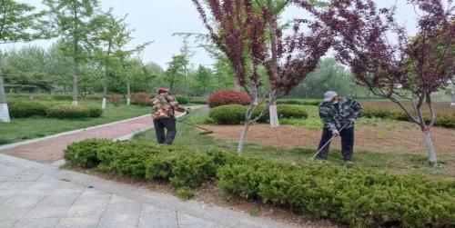 夏季绿化养护忙，不负盛夏好时光
