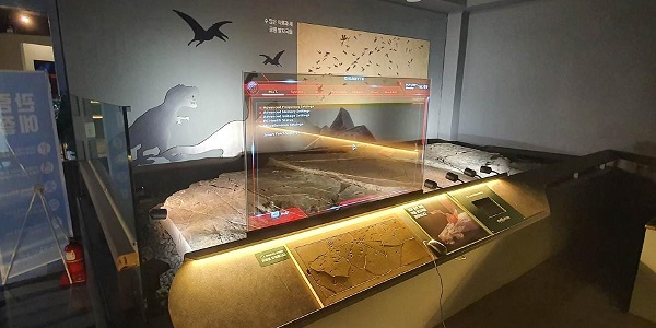 透明OLED显示屏携手国博考古成果展 助力打造数字化体验