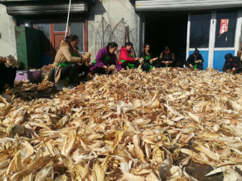 一片玉米叶，编出一个敞亮人生