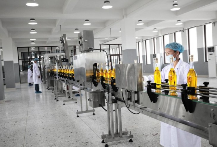 江西高位推动油茶产业高质量发展和油茶生产任务落实落细落地222