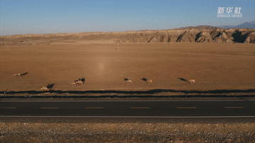 新华全媒+丨新疆：一条自驾路带动小山村增收致富