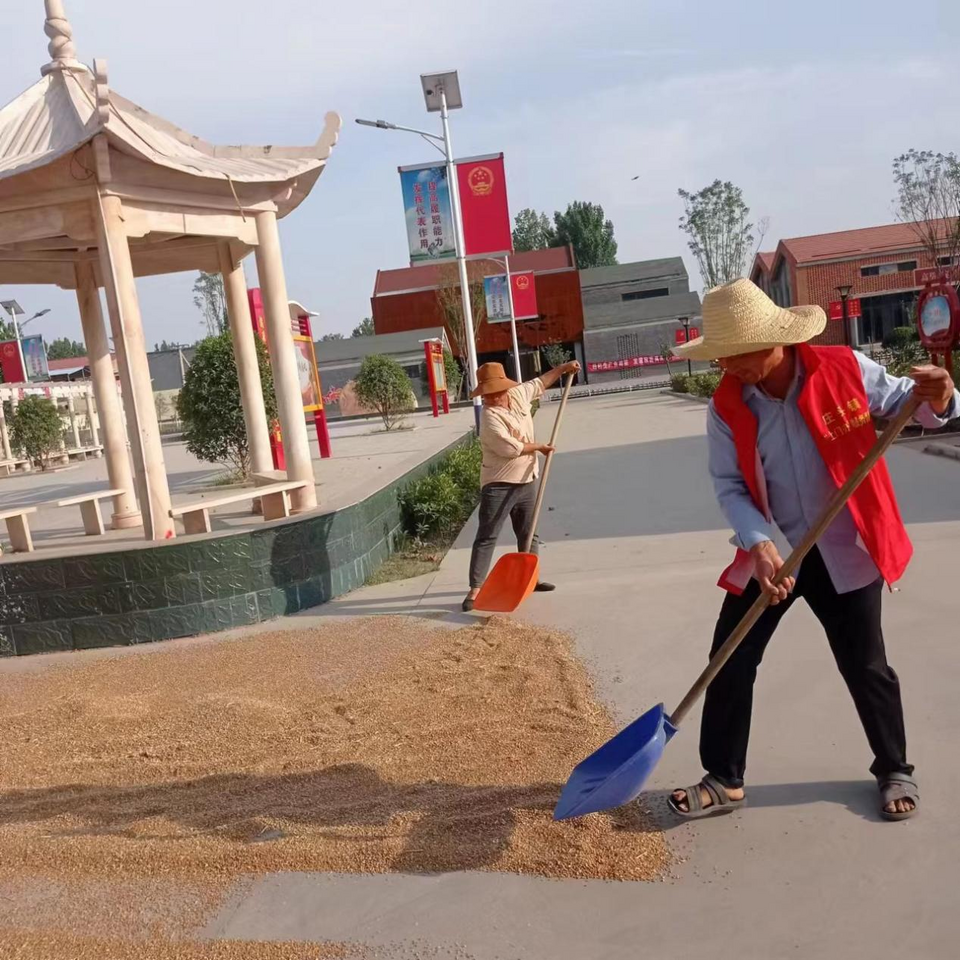 尉氏县庄头镇：服务下沉家门口 办好实事零距离