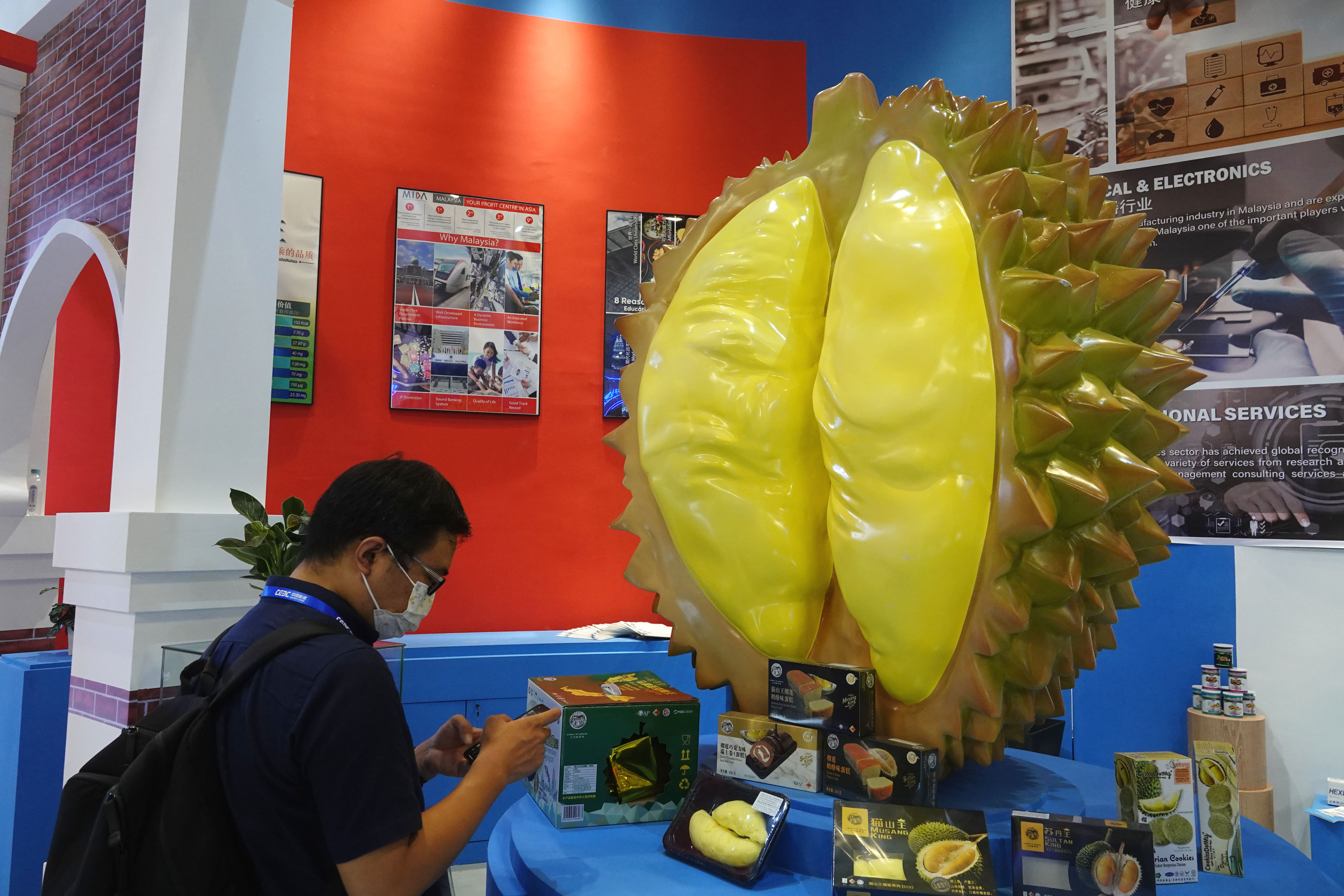 Booming fruit trade enhances China-ASEAN cooperation - Chinadaily.com.cn - China Daily