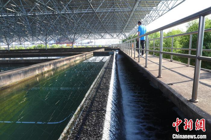 南昌市青云水厂是一座自动化控制程度较高的水厂，图为青云水厂沉淀池。　记者 刘占昆 摄