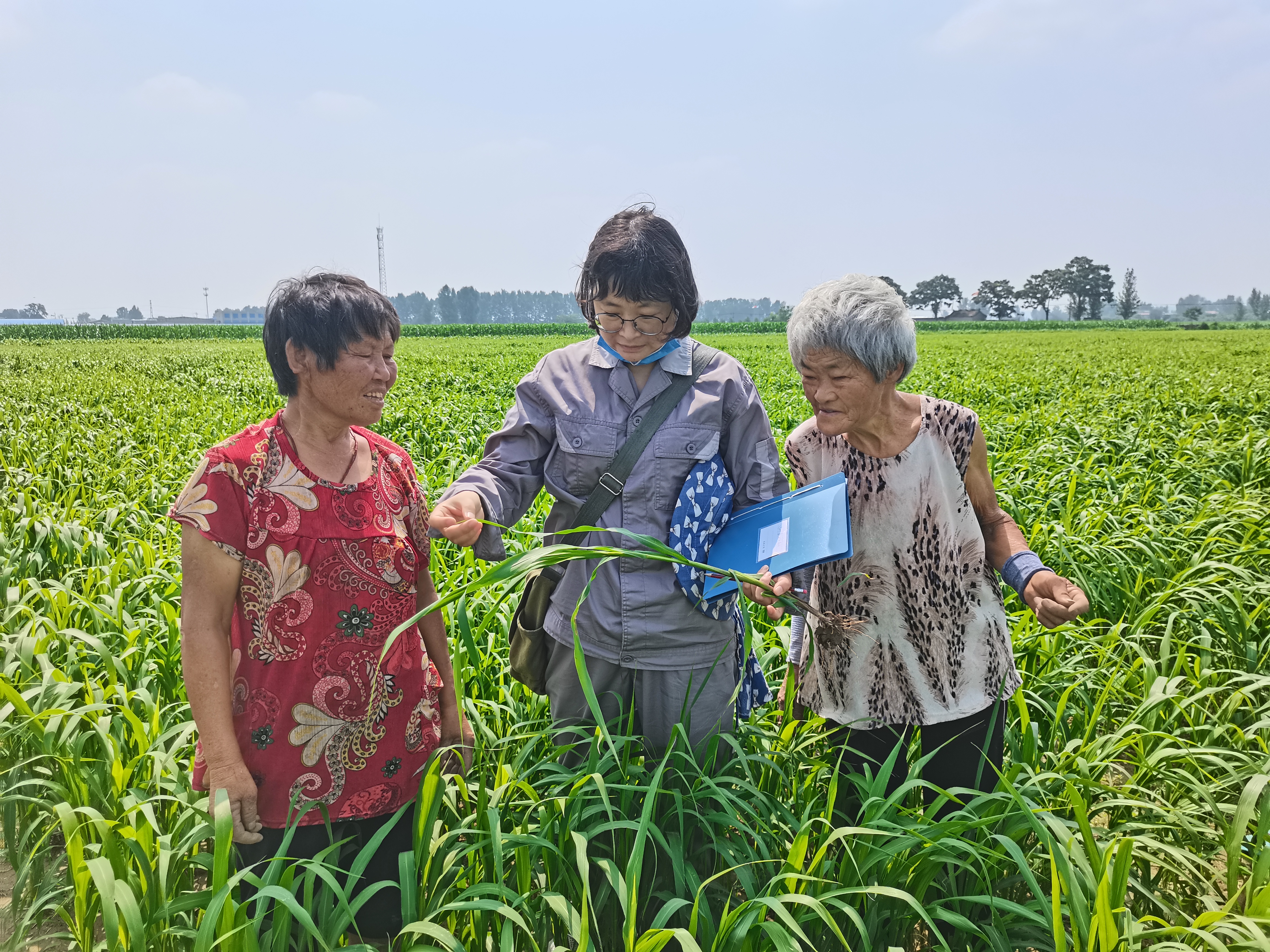 宋慧在农户地头进行谷子种植技术指导.jpg