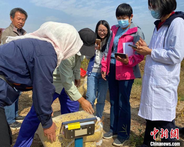 中国耐盐大豆育种新品系“科豆35”示范亩产超270公斤