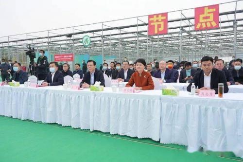 2022中国 章丘大葱文化旅游节活动举行
