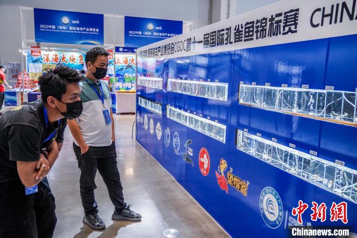 中国（海南）国际海洋产业博览会开幕孔雀鱼引人观赏