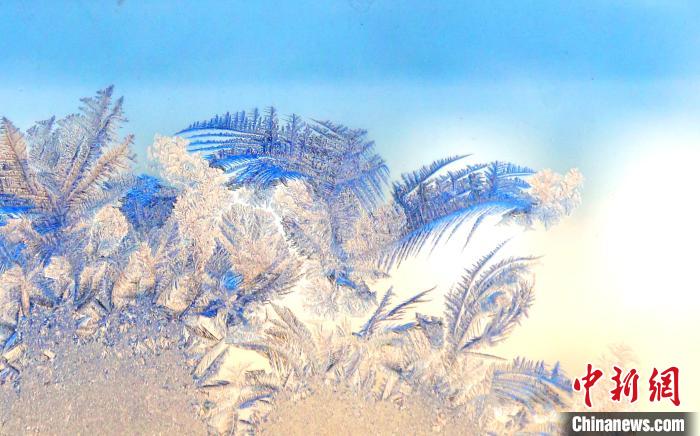 大自然的冬日画作：内蒙古大兴安岭林区“绽放”冰窗花