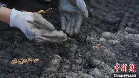 考古工作者在清理钱币。　建湖县文化广电和旅游局供图