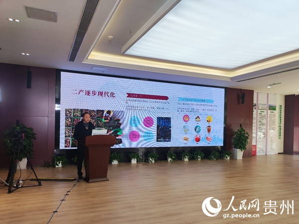 相关负责人进行项目推介。人民网 李丽萍摄